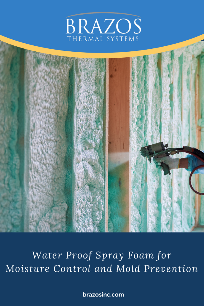 A pinnable graphic for the blog post "Water Proof Spray Foam for Moisture Control and Mold Prevention" by Brazos Thermal Systems.