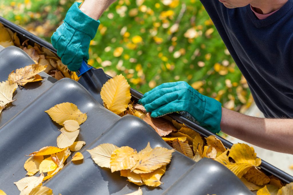 A man in teal gloves cleans leaves out of a gutter.